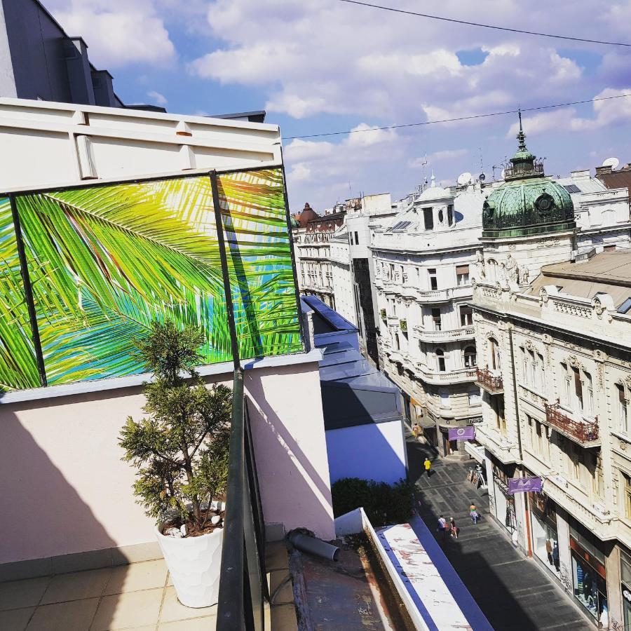 Jolie Apartamento Belgrado Exterior foto